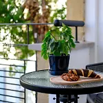 Ct Nicosia